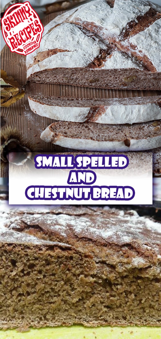 Small spelled and chestnut bread